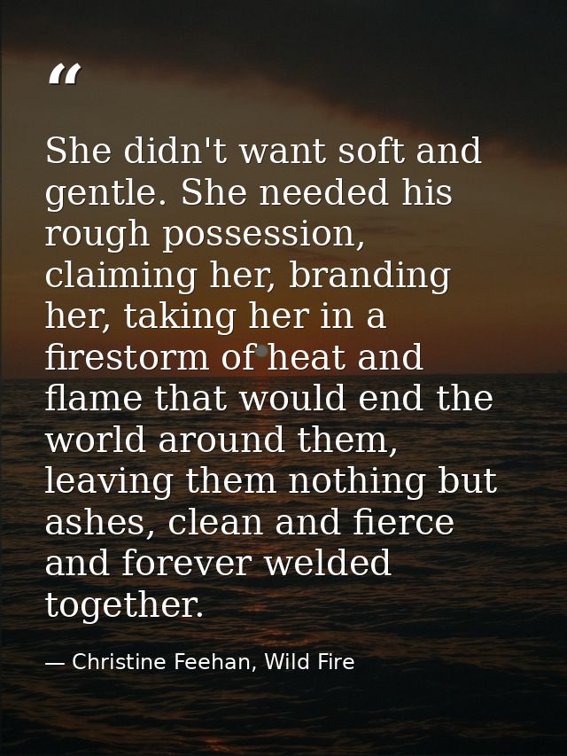 She didn't want soft and gentle. She needed his rough possession, claiming her, branding her, taking her in a firestorm  — Christine Feehan, Wild Fire