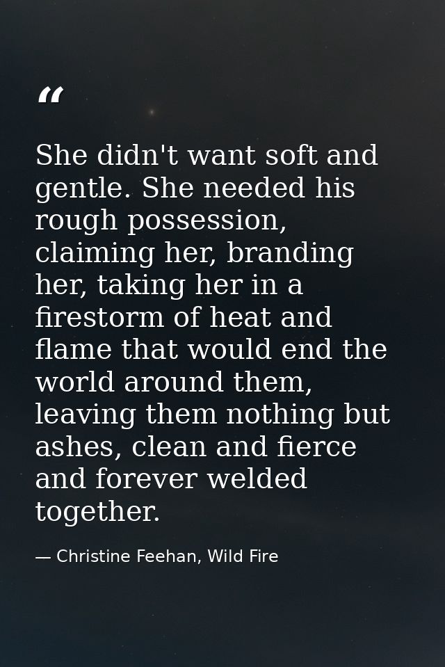 She didn't want soft and gentle. She needed his rough possession, claiming her, branding her, taking her in a firestorm  — Christine Feehan, Wild Fire
