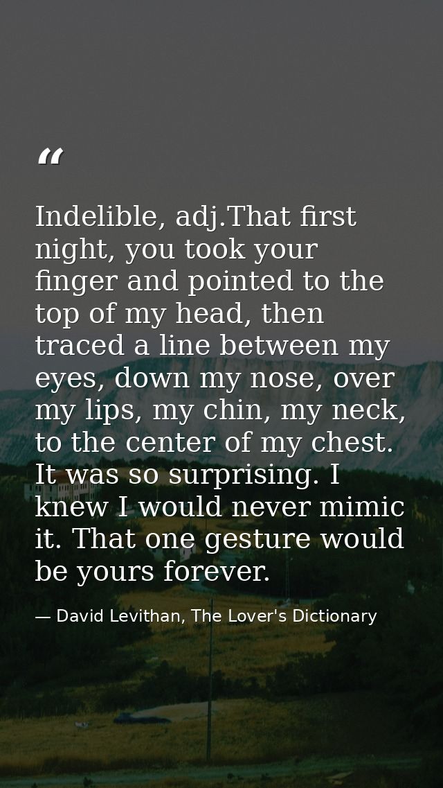 Indelible, adj.That first night, you took your finger and pointed to the top of my head, then traced a line between my e — David Levithan, The Lover's Dictionary