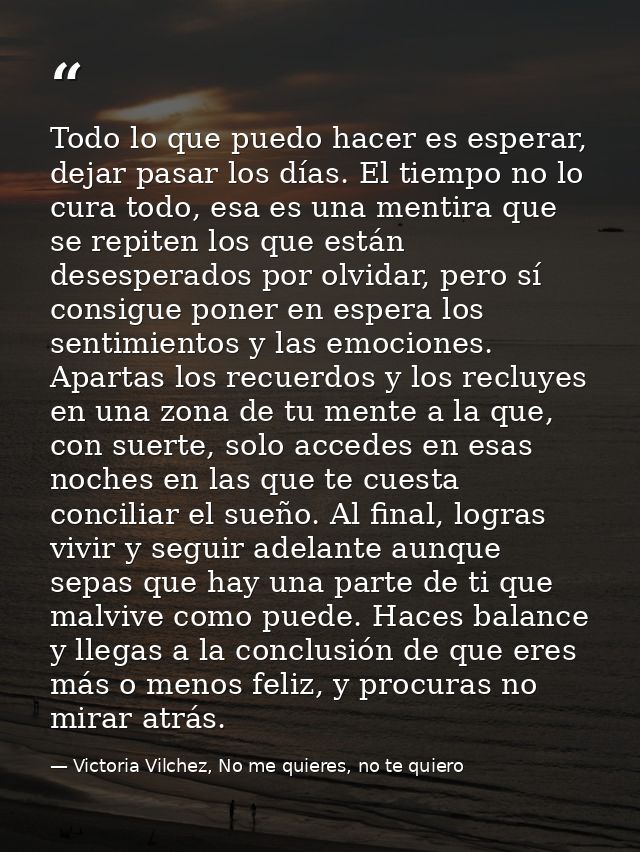 Todo lo que puedo hacer es esperar, dejar pasar los días. El tiempo no lo cura todo, esa es una mentira que se repiten l — Victoria Vilchez, No me quieres, no te quiero