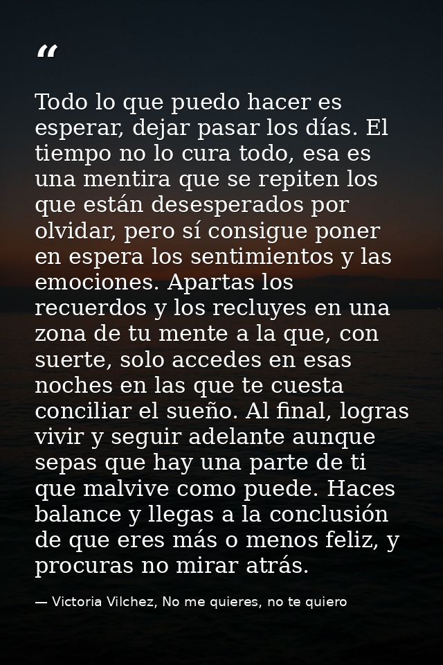 Todo lo que puedo hacer es esperar, dejar pasar los días. El tiempo no lo cura todo, esa es una mentira que se repiten l — Victoria Vilchez, No me quieres, no te quiero