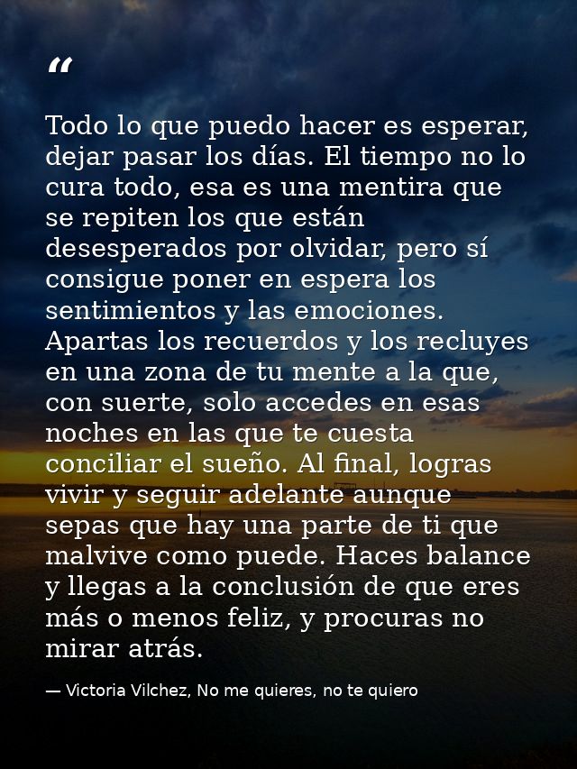 Todo lo que puedo hacer es esperar, dejar pasar los días. El tiempo no lo cura todo, esa es una mentira que se repiten l — Victoria Vilchez, No me quieres, no te quiero