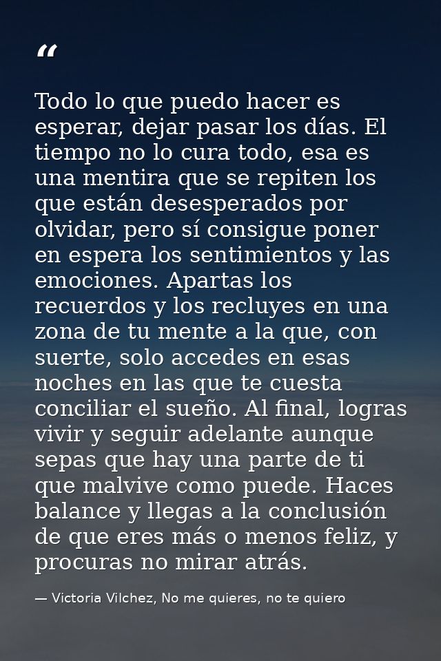 Todo lo que puedo hacer es esperar, dejar pasar los días. El tiempo no lo cura todo, esa es una mentira que se repiten l — Victoria Vilchez, No me quieres, no te quiero