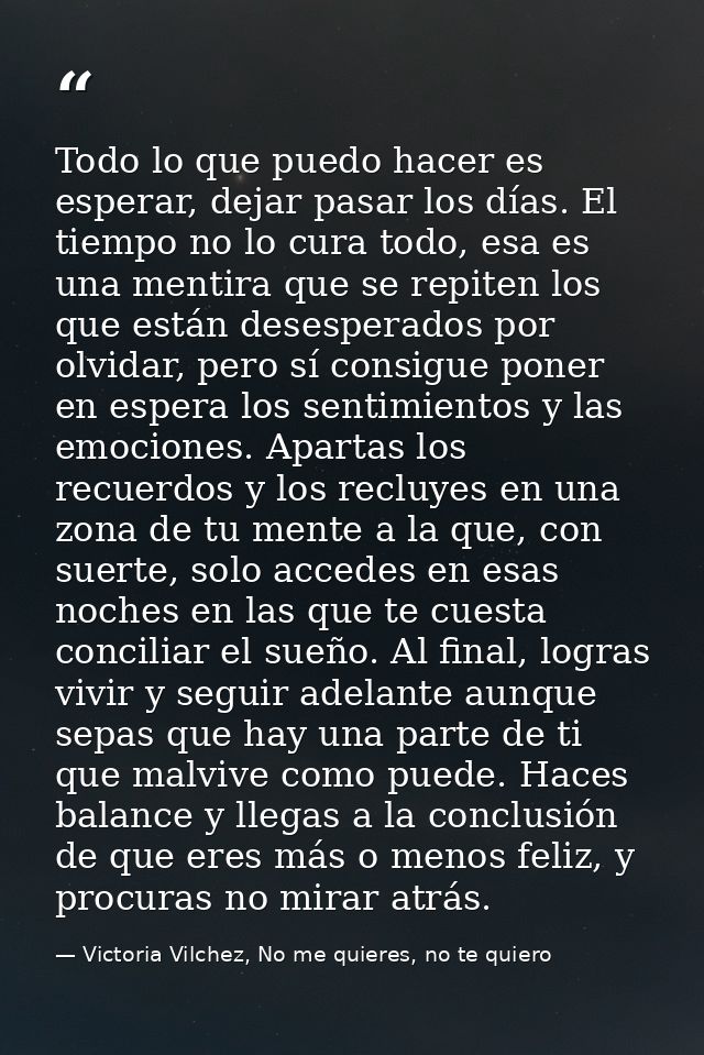 Todo lo que puedo hacer es esperar, dejar pasar los días. El tiempo no lo cura todo, esa es una mentira que se repiten l — Victoria Vilchez, No me quieres, no te quiero