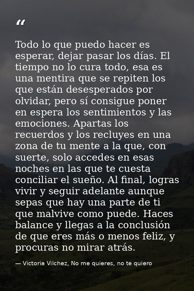 Todo lo que puedo hacer es esperar, dejar pasar los días. El tiempo no lo cura todo, esa es una mentira que se repiten l — Victoria Vilchez, No me quieres, no te quiero