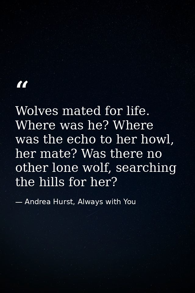 Wolves mated for life. Where was he? Where was the echo to her howl, her mate? Was there no other lone wolf, searching t — Andrea Hurst, Always with You