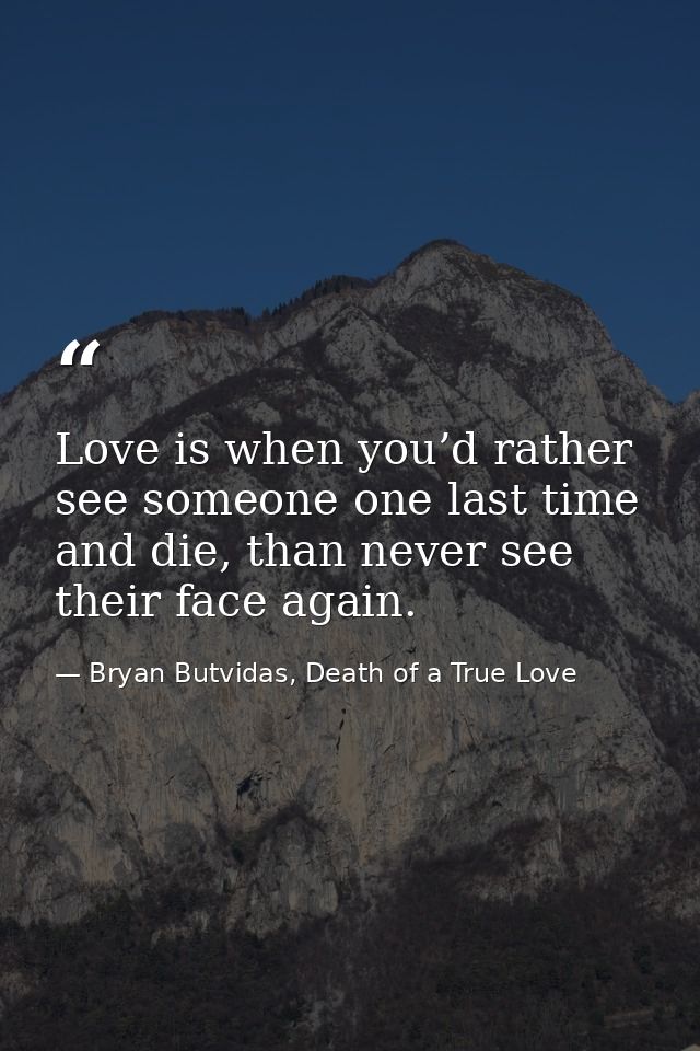 Love is when you’d rather see someone one last time and die, than never see their face again. — Bryan Butvidas, Death of a True Love