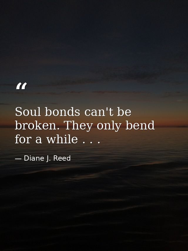 Soul bonds can't be broken. They only bend for a while . . . — Diane J. Reed
