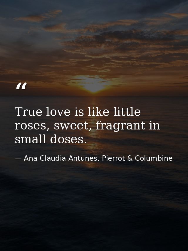 True love is like little roses, sweet, fragrant in small doses. — Ana Claudia Antunes, Pierrot & Columbine