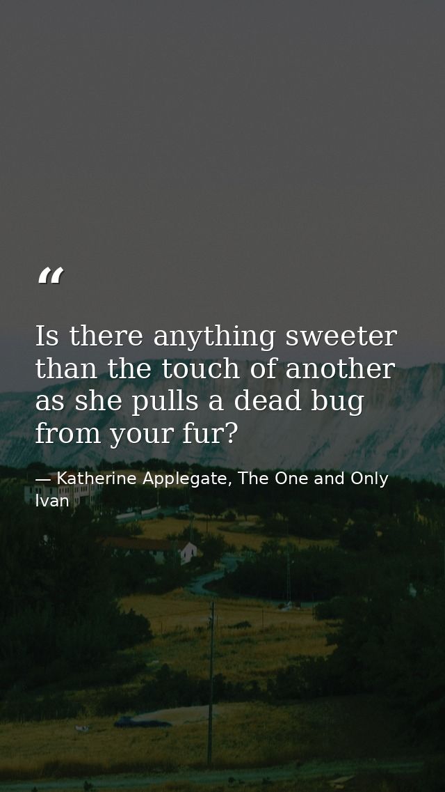 Is there anything sweeter than the touch of another as she pulls a dead bug from your fur? — Katherine Applegate, The One and Only Ivan