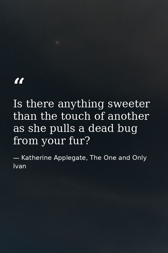 Is there anything sweeter than the touch of another as she pulls a dead bug from your fur? — Katherine Applegate, The One and Only Ivan