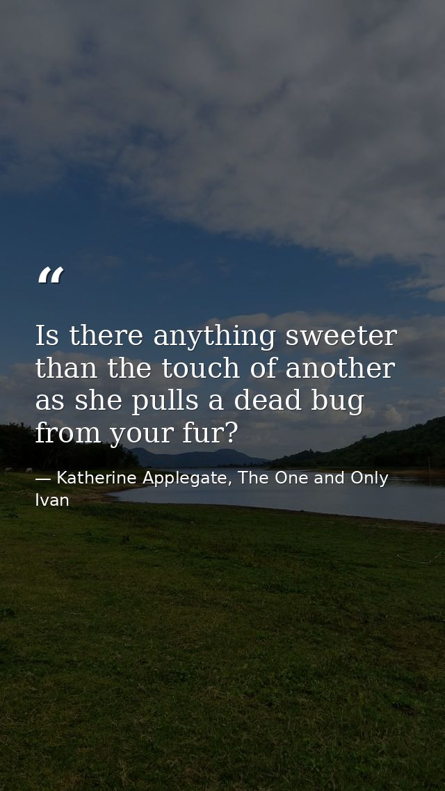 Is there anything sweeter than the touch of another as she pulls a dead bug from your fur? — Katherine Applegate, The One and Only Ivan