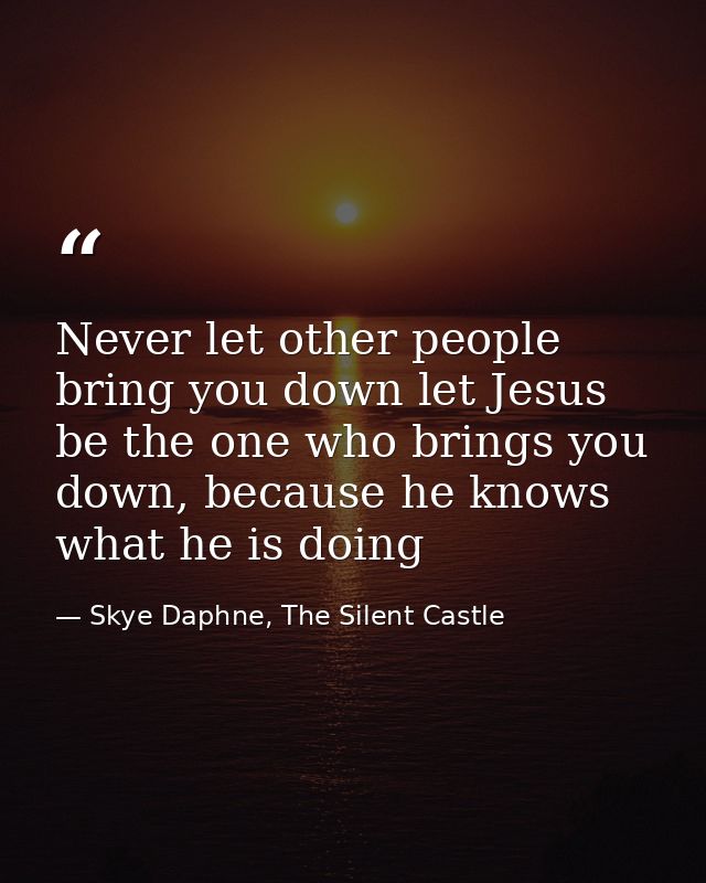 Never let other people bring you down let Jesus be the one who brings you down, because he knows what he is doing — Skye Daphne, The Silent Castle
