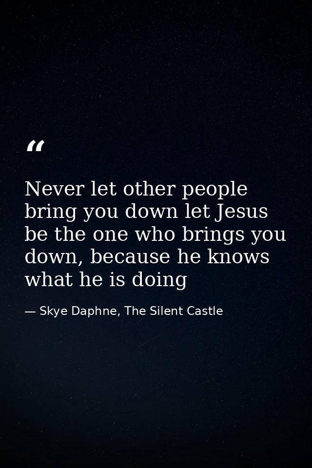 Never let other people bring you down let Jesus be the one who brings you down, because he knows what he is doing — Skye Daphne, The Silent Castle