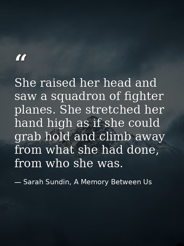 She raised her head and saw a squadron of fighter planes. She stretched her hand high as if she could grab hold and clim — Sarah Sundin, A Memory Between Us