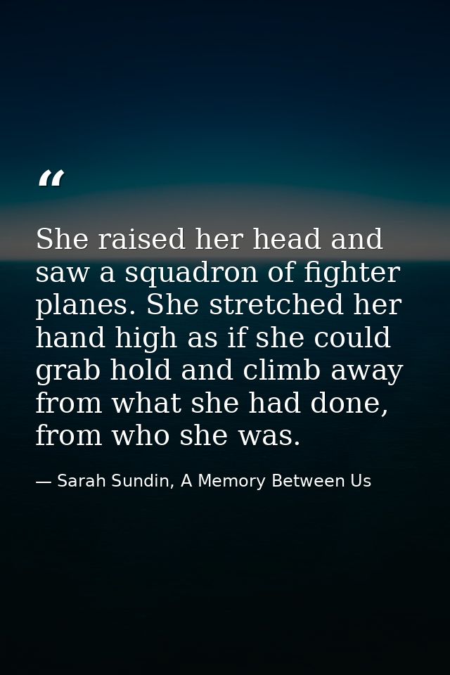 She raised her head and saw a squadron of fighter planes. She stretched her hand high as if she could grab hold and clim — Sarah Sundin, A Memory Between Us