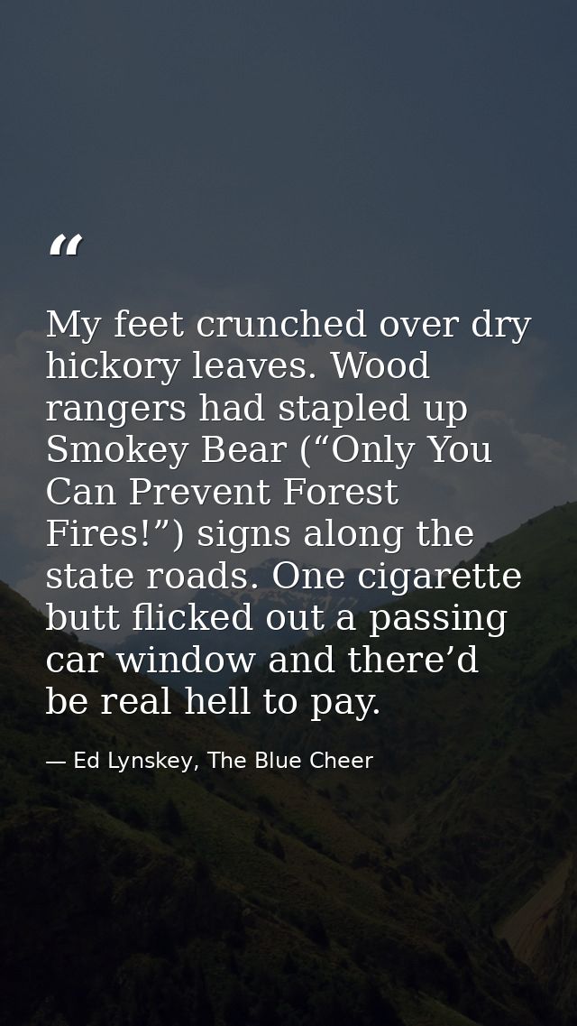 My feet crunched over dry hickory leaves. Wood rangers had stapled up Smokey Bear (“Only You Can Prevent Forest Fires!”) — Ed Lynskey, The Blue Cheer