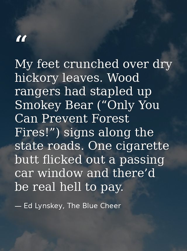 My feet crunched over dry hickory leaves. Wood rangers had stapled up Smokey Bear (“Only You Can Prevent Forest Fires!”) — Ed Lynskey, The Blue Cheer