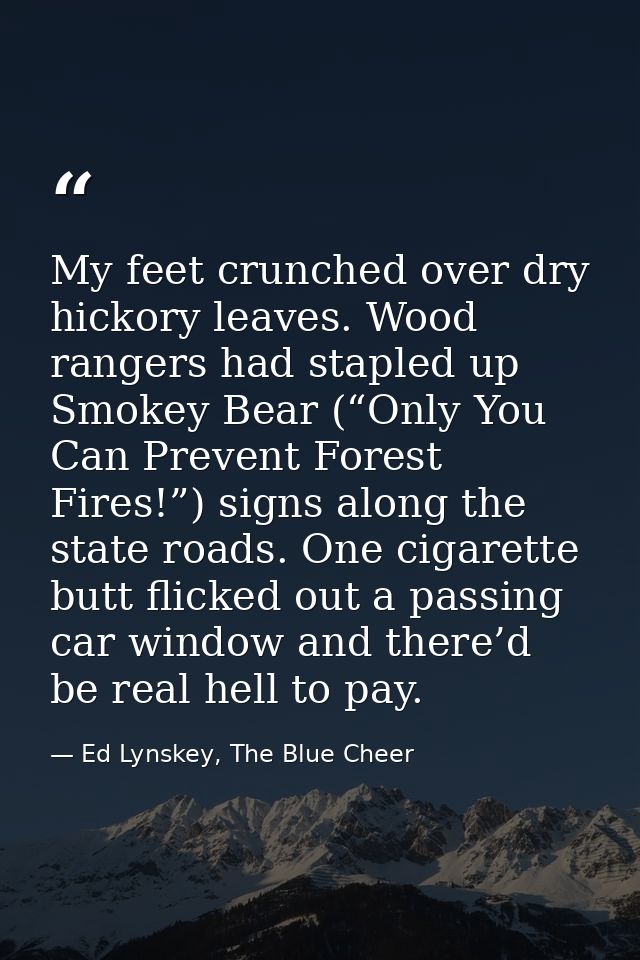 My feet crunched over dry hickory leaves. Wood rangers had stapled up Smokey Bear (“Only You Can Prevent Forest Fires!”) — Ed Lynskey, The Blue Cheer