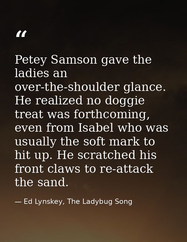 Petey Samson gave the ladies an over-the-shoulder glance. He realized no doggie treat was forthcoming, even from Isabel  — Ed Lynskey, The Ladybug Song