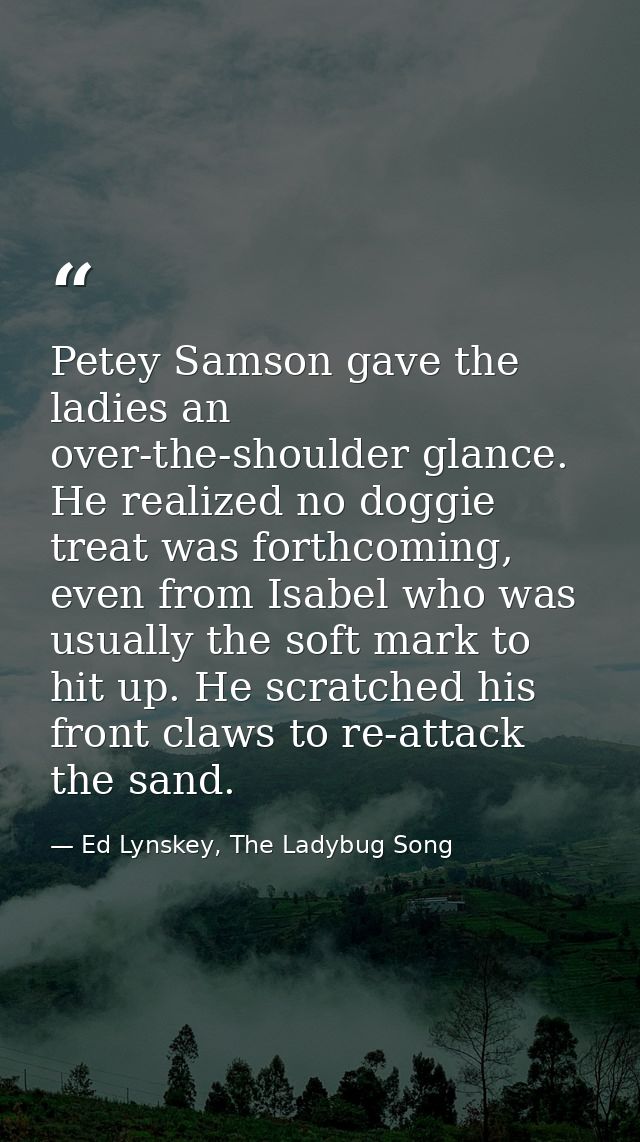 Petey Samson gave the ladies an over-the-shoulder glance. He realized no doggie treat was forthcoming, even from Isabel  — Ed Lynskey, The Ladybug Song