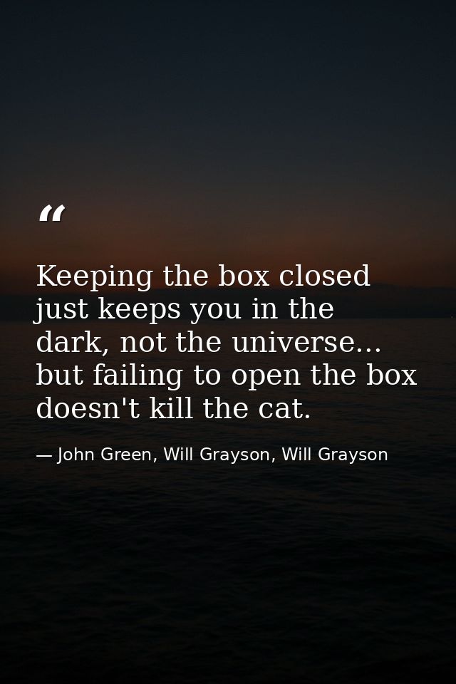 Keeping the box closed just keeps you in the dark, not the universe... but failing to open the box doesn't kill the cat. — John Green, Will Grayson, Will Grayson