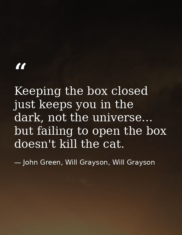 Keeping the box closed just keeps you in the dark, not the universe... but failing to open the box doesn't kill the cat. — John Green, Will Grayson, Will Grayson