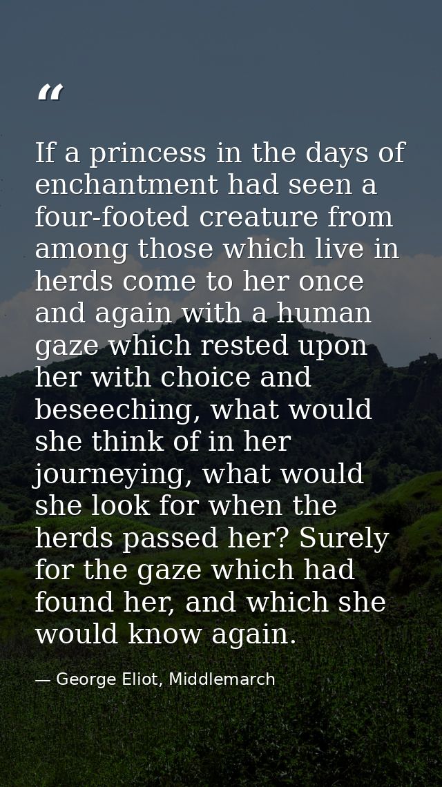 If a princess in the days of enchantment had seen a four-footed creature from among those which live in herds come to he — George Eliot, Middlemarch