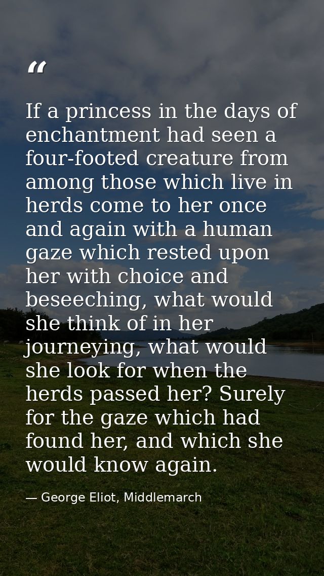 If a princess in the days of enchantment had seen a four-footed creature from among those which live in herds come to he — George Eliot, Middlemarch