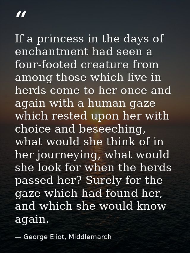 If a princess in the days of enchantment had seen a four-footed creature from among those which live in herds come to he — George Eliot, Middlemarch