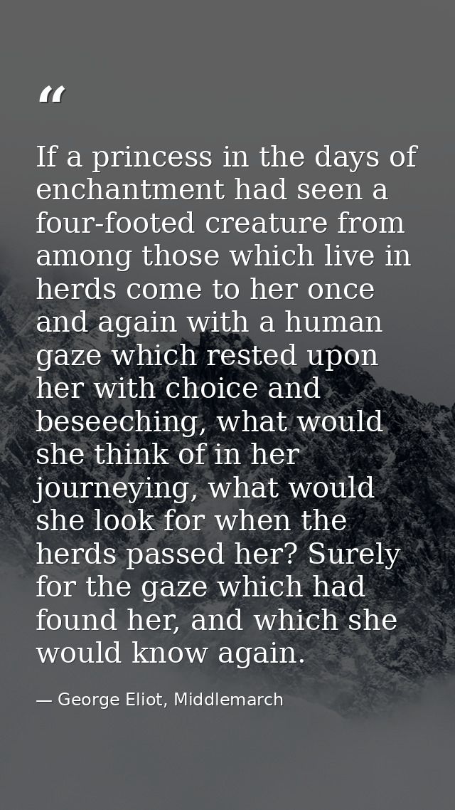 If a princess in the days of enchantment had seen a four-footed creature from among those which live in herds come to he — George Eliot, Middlemarch