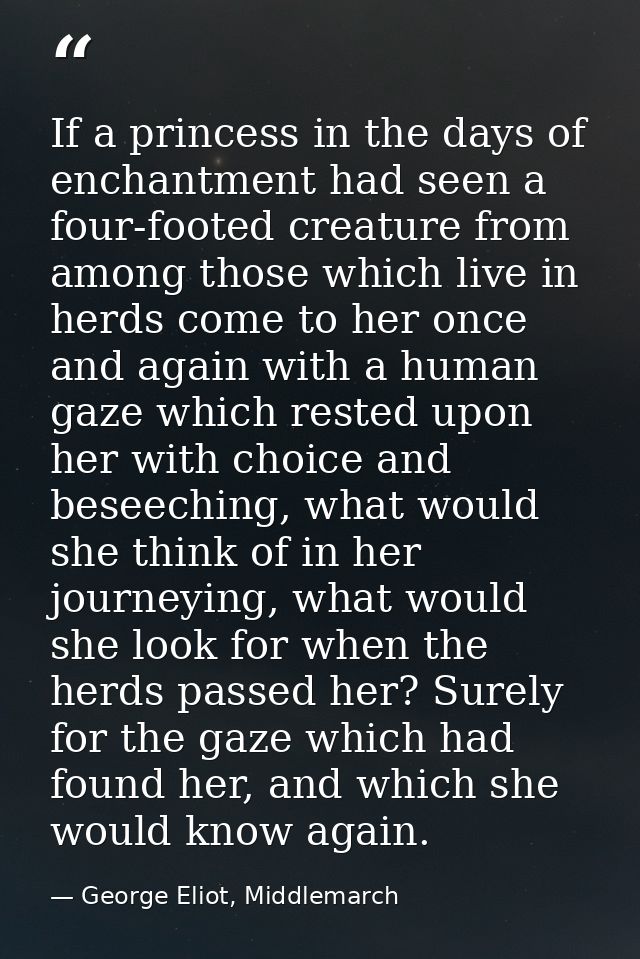 If a princess in the days of enchantment had seen a four-footed creature from among those which live in herds come to he — George Eliot, Middlemarch