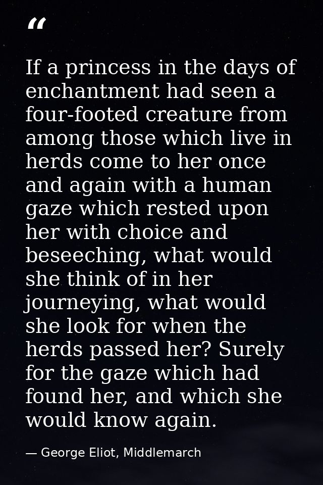 If a princess in the days of enchantment had seen a four-footed creature from among those which live in herds come to he — George Eliot, Middlemarch