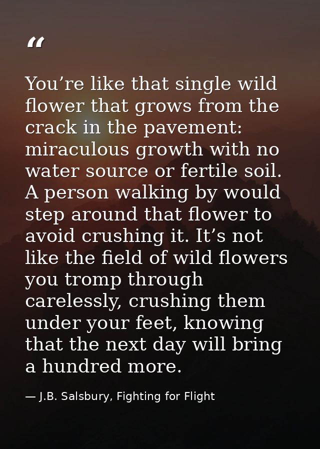 You’re like that single wild flower that grows from the crack in the pavement: miraculous growth with no water source or — J.B. Salsbury, Fighting for Flight