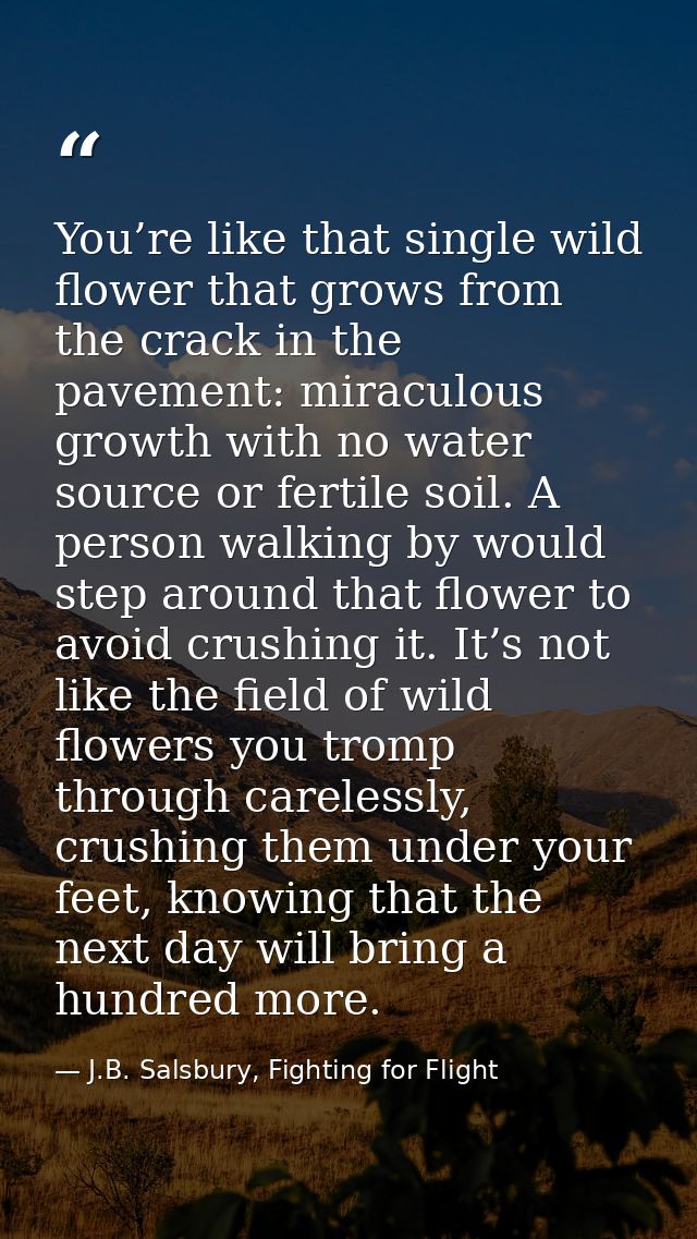 You’re like that single wild flower that grows from the crack in the pavement: miraculous growth with no water source or — J.B. Salsbury, Fighting for Flight
