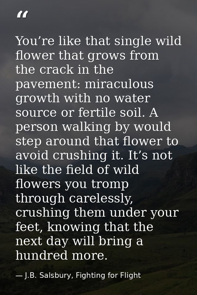 You’re like that single wild flower that grows from the crack in the pavement: miraculous growth with no water source or — J.B. Salsbury, Fighting for Flight
