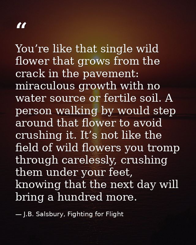 You’re like that single wild flower that grows from the crack in the pavement: miraculous growth with no water source or — J.B. Salsbury, Fighting for Flight