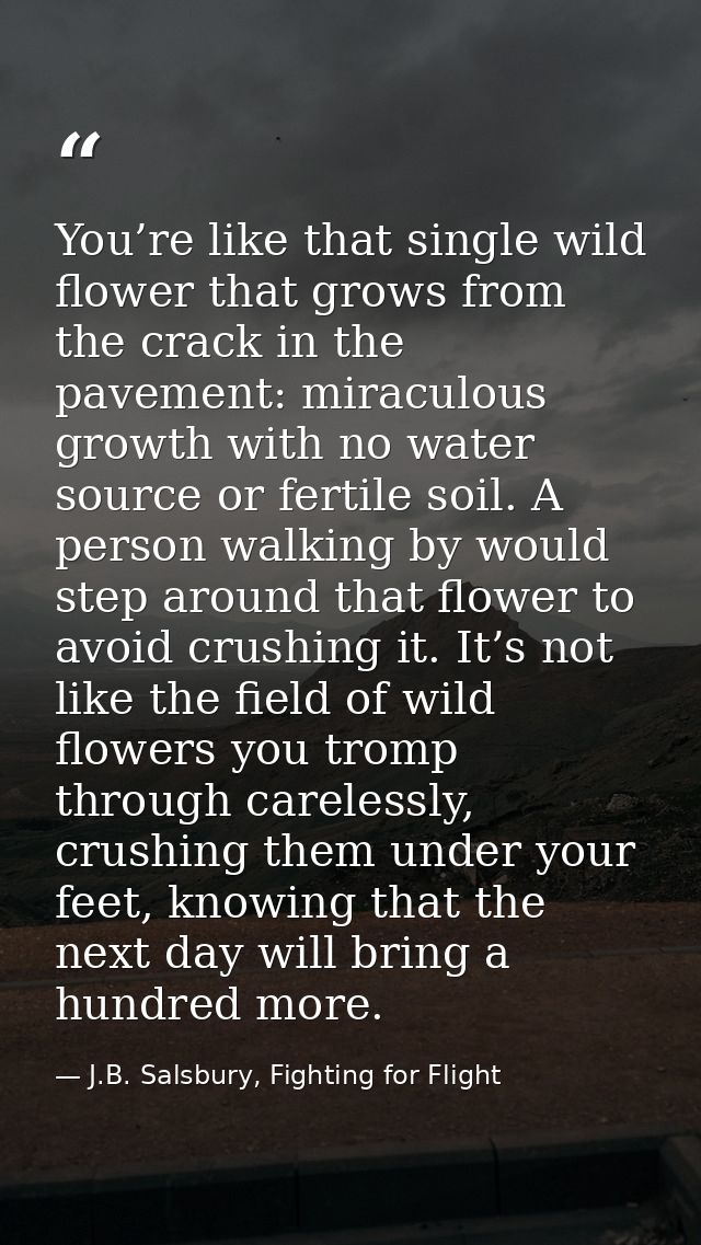 You’re like that single wild flower that grows from the crack in the pavement: miraculous growth with no water source or — J.B. Salsbury, Fighting for Flight
