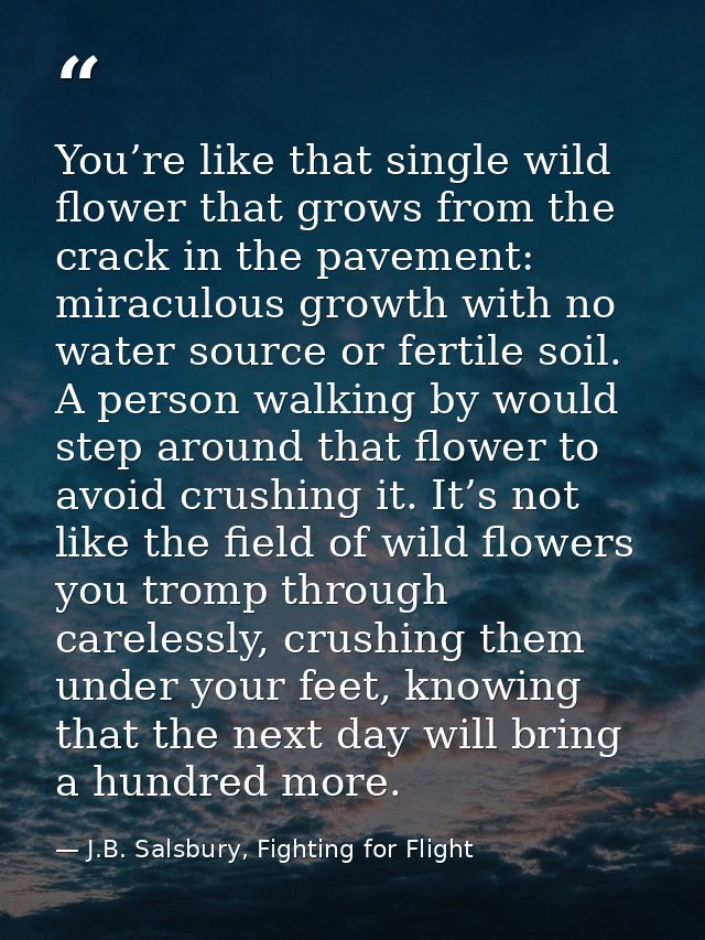 You’re like that single wild flower that grows from the crack in the pavement: miraculous growth with no water source or — J.B. Salsbury, Fighting for Flight