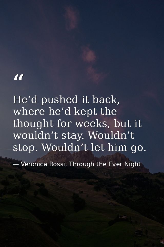 He’d pushed it back, where he’d kept the thought for weeks, but it wouldn’t stay. Wouldn’t stop. Wouldn’t let him go. — Veronica Rossi, Through the Ever Night