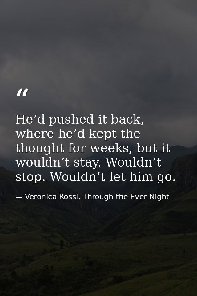 He’d pushed it back, where he’d kept the thought for weeks, but it wouldn’t stay. Wouldn’t stop. Wouldn’t let him go. — Veronica Rossi, Through the Ever Night