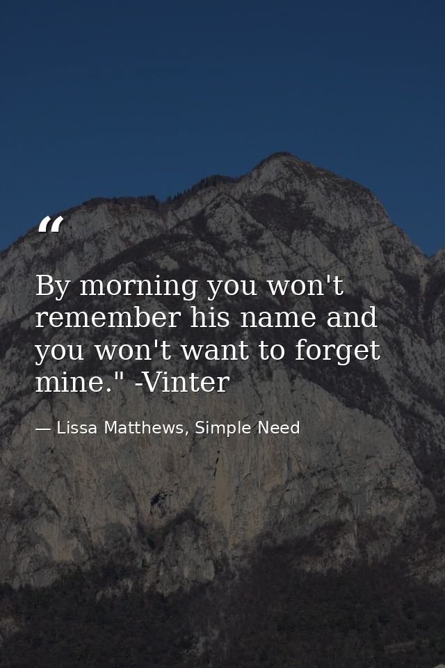 By morning you won't remember his name and you won't want to forget mine." -Vinter — Lissa Matthews, Simple Need