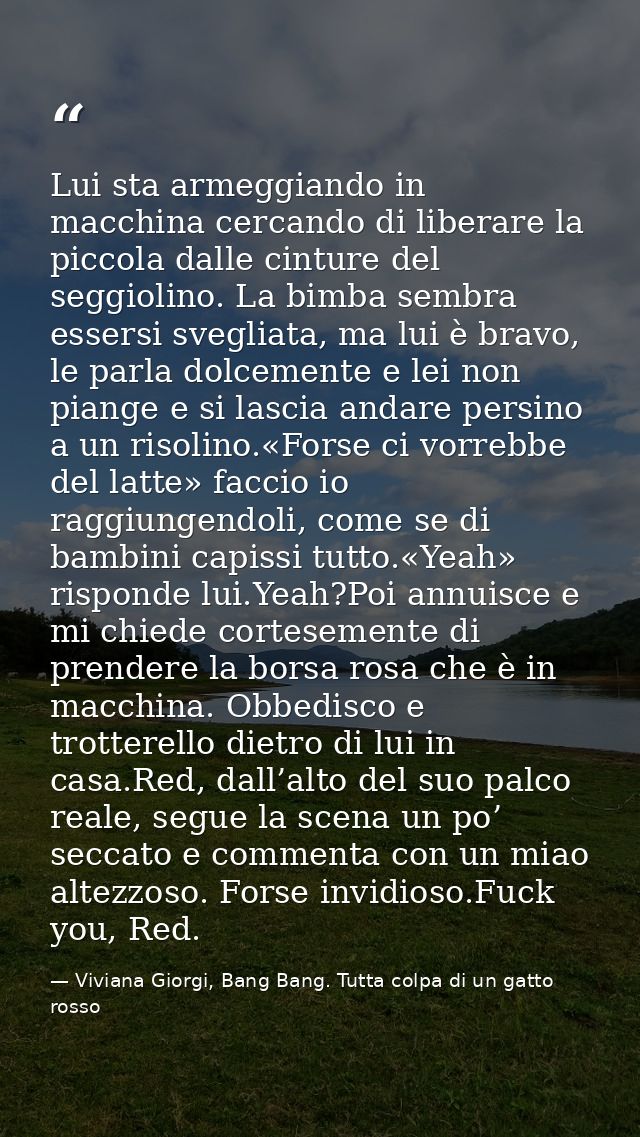 Lui sta armeggiando in macchina cercando di liberare la piccola dalle cinture del seggiolino. La bimba sembra essersi sv — Viviana Giorgi, Bang Bang. Tutta colpa di un gatto rosso