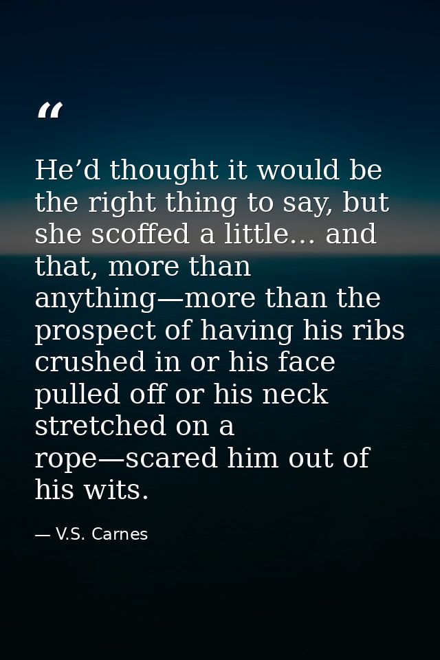He’d thought it would be the right thing to say, but she scoffed a little… and that, more than anything—more than the pr — V.S. Carnes