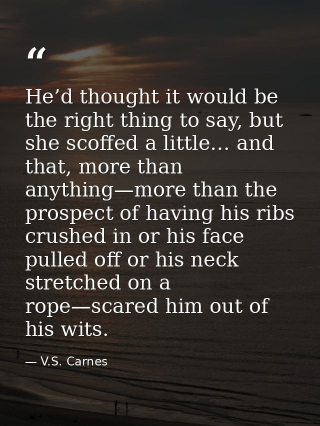 He’d thought it would be the right thing to say, but she scoffed a little… and that, more than anything—more than the pr — V.S. Carnes