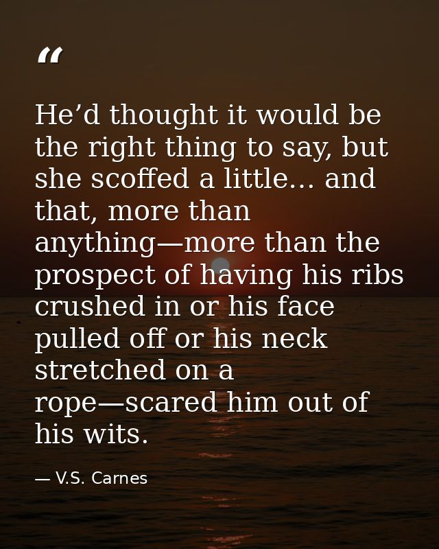He’d thought it would be the right thing to say, but she scoffed a little… and that, more than anything—more than the pr — V.S. Carnes
