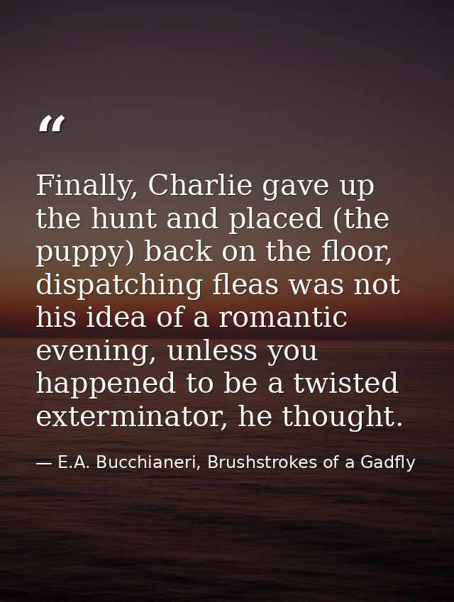Finally, Charlie gave up the hunt and placed (the puppy) back on the floor, dispatching fleas was not his idea of a roma — E.A. Bucchianeri, Brushstrokes of a Gadfly