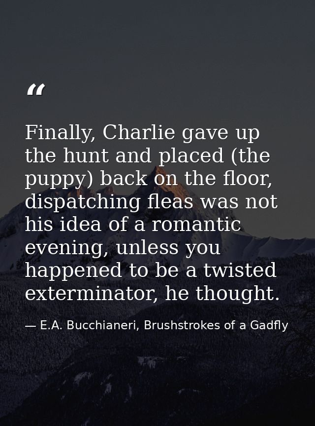 Finally, Charlie gave up the hunt and placed (the puppy) back on the floor, dispatching fleas was not his idea of a roma — E.A. Bucchianeri, Brushstrokes of a Gadfly