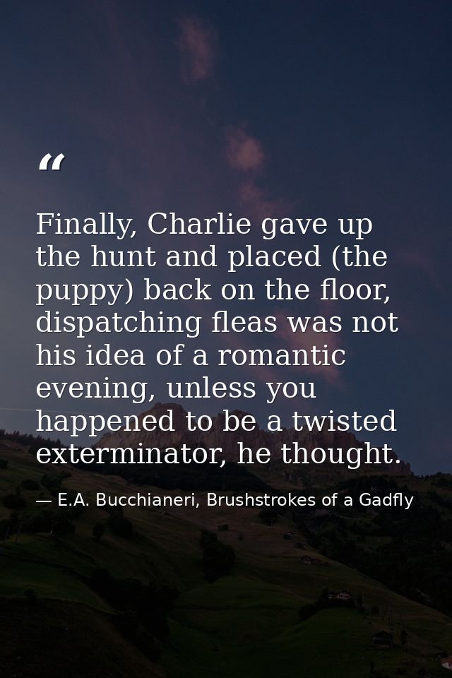 Finally, Charlie gave up the hunt and placed (the puppy) back on the floor, dispatching fleas was not his idea of a roma — E.A. Bucchianeri, Brushstrokes of a Gadfly