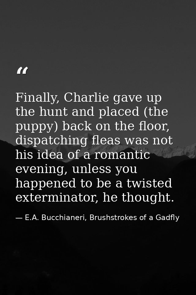 Finally, Charlie gave up the hunt and placed (the puppy) back on the floor, dispatching fleas was not his idea of a roma — E.A. Bucchianeri, Brushstrokes of a Gadfly